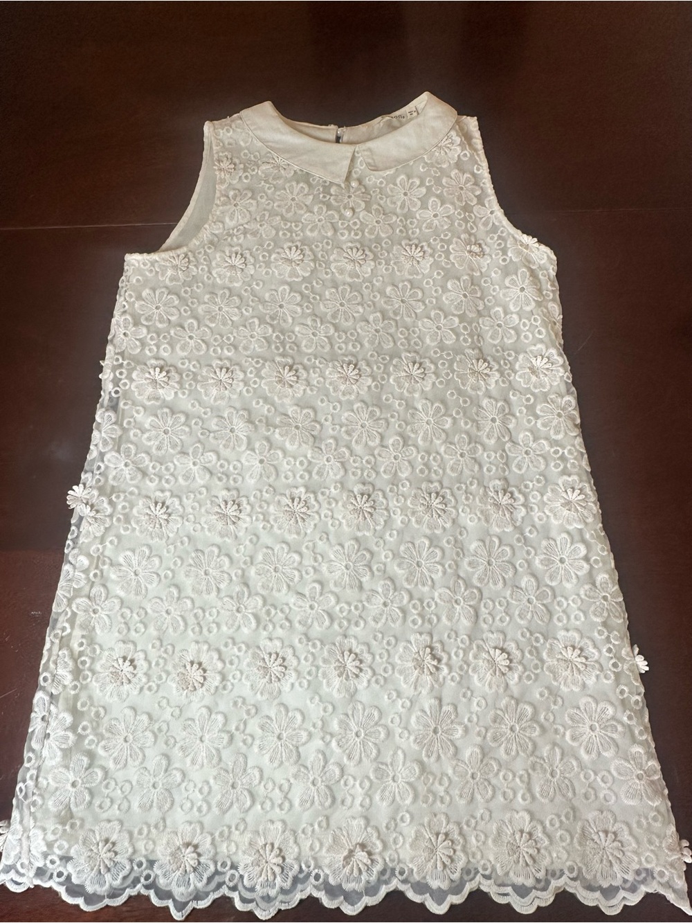 Ellison Ivory Floral Lace Peter Pan Collar Mini Dress